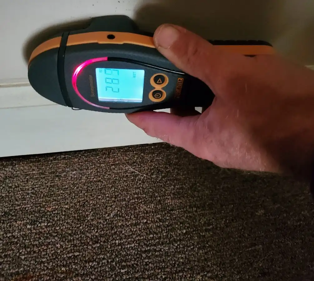 Moisture detection at baseboard during Sewage Cleanup & Sanitation in South Bound Brook